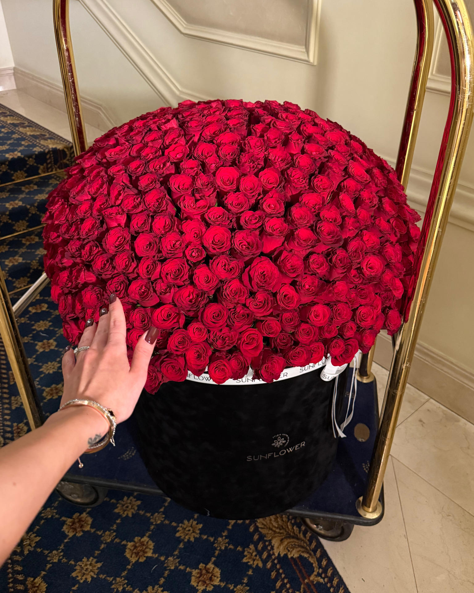 Box of Rhodos roses 451 pieces