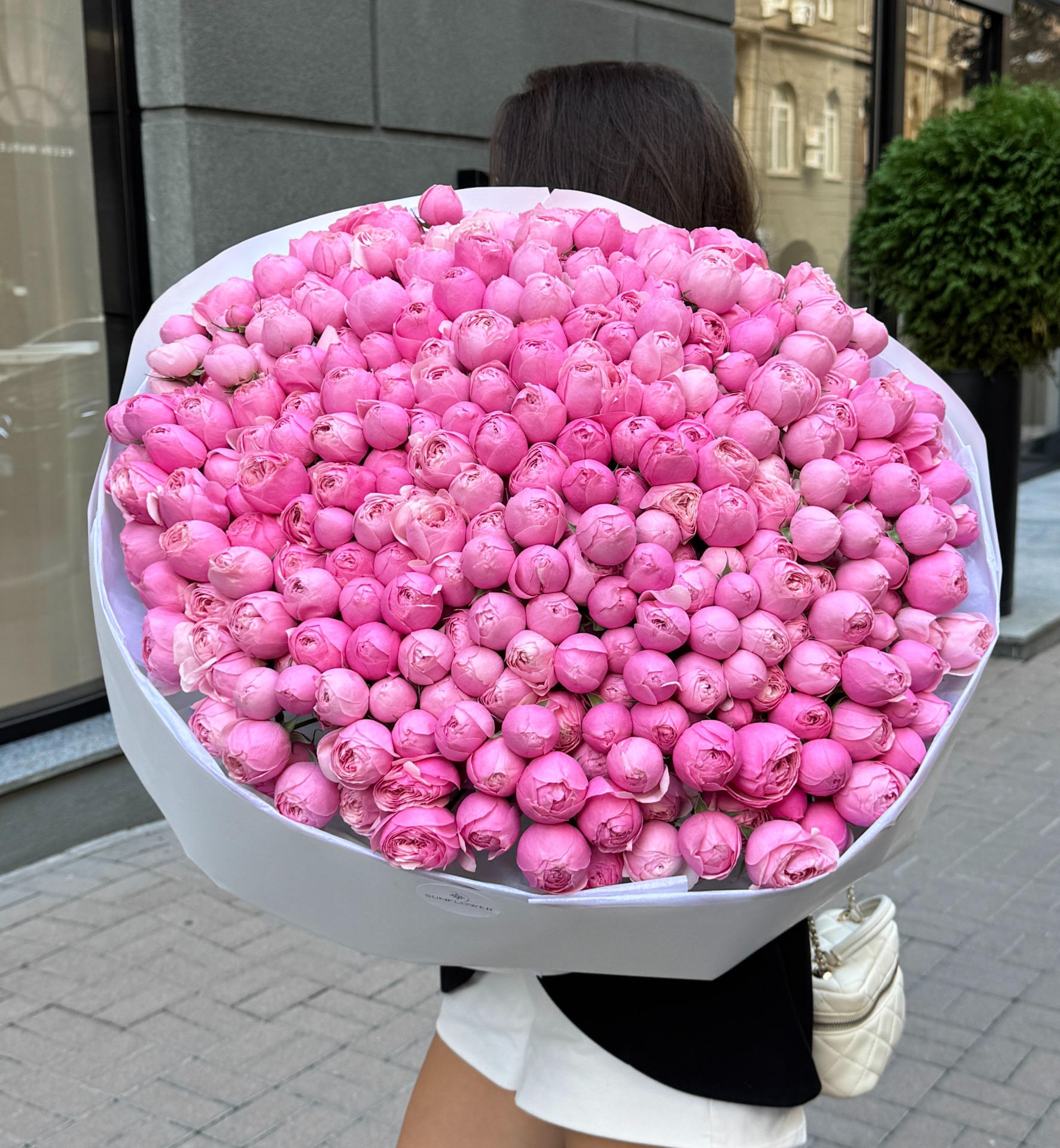 Rose Silva Pink 60 см
