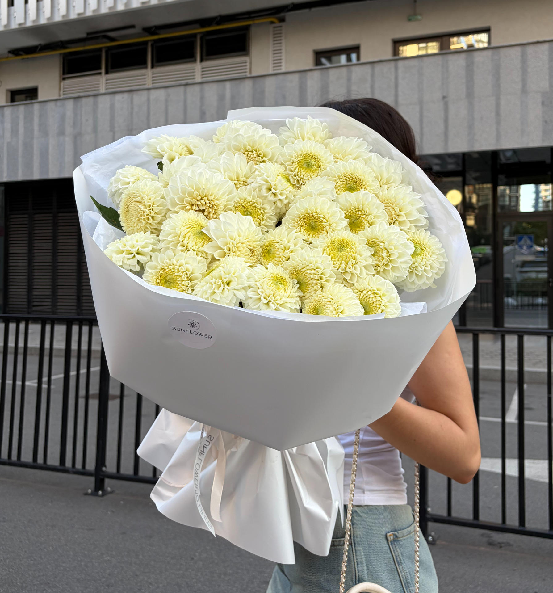 Dahlia  Boom Boom White
