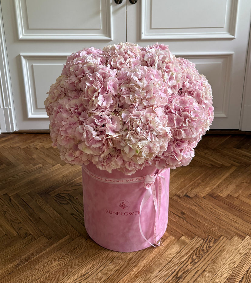 Hydrangeas in a Pink Velvet Box