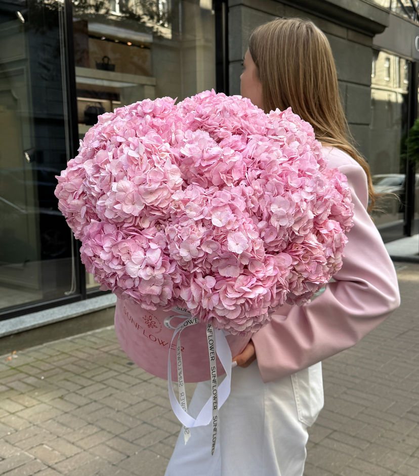 15 гортензій Pink у оксамитовій коробці