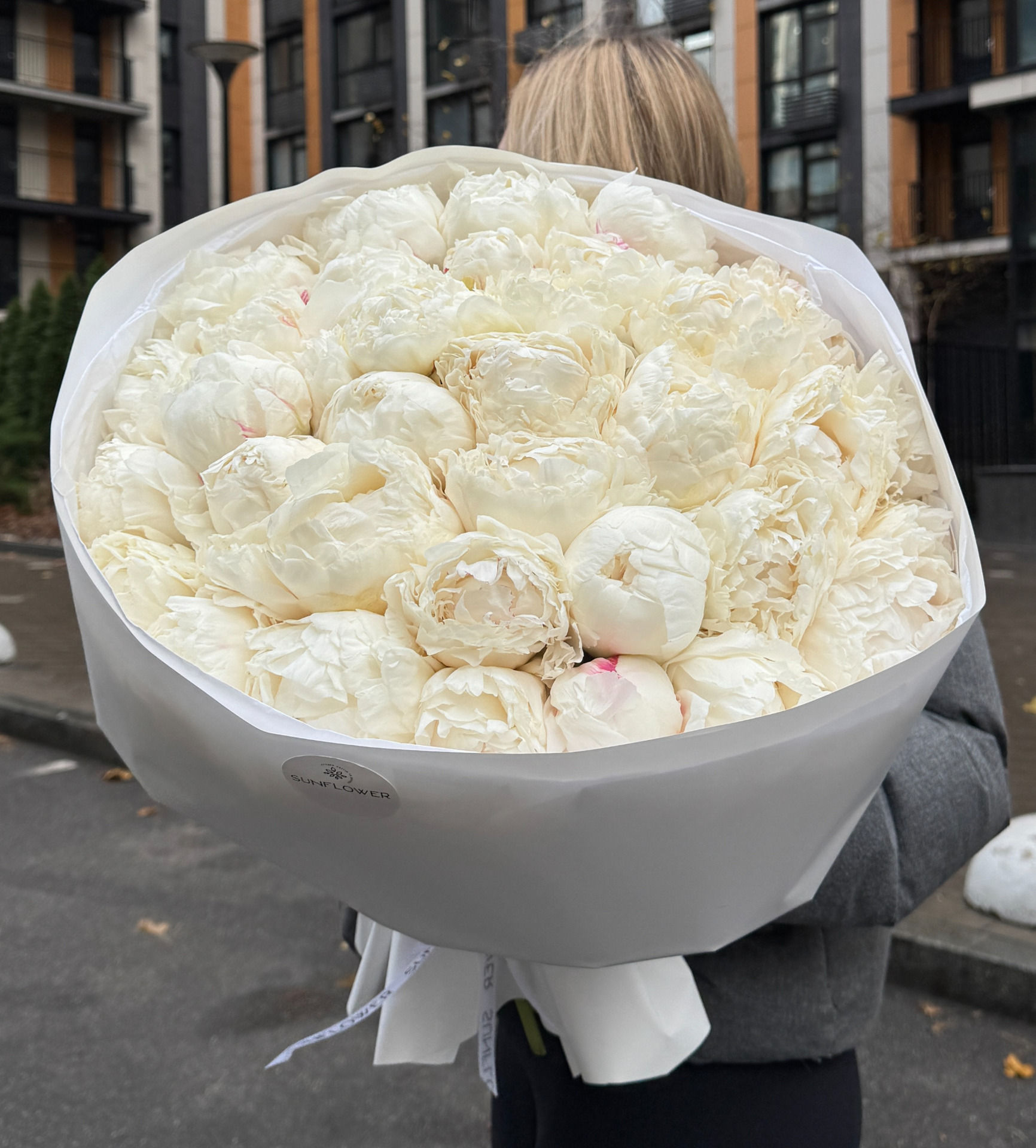 Півонія Bowl Of Cream