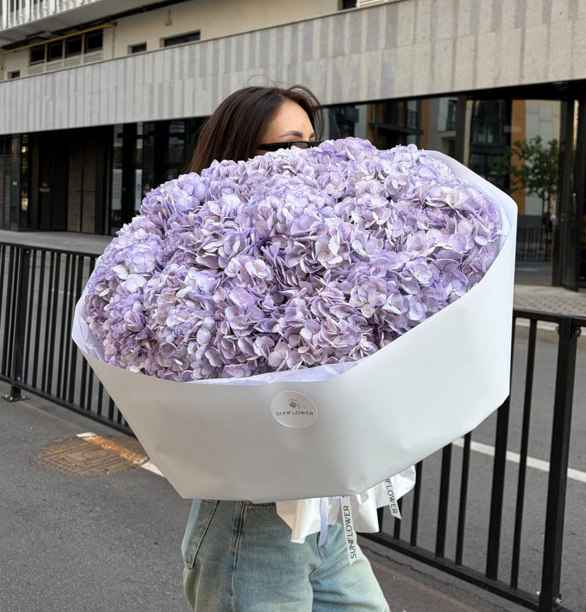 Hydrangea Colombia Lavander