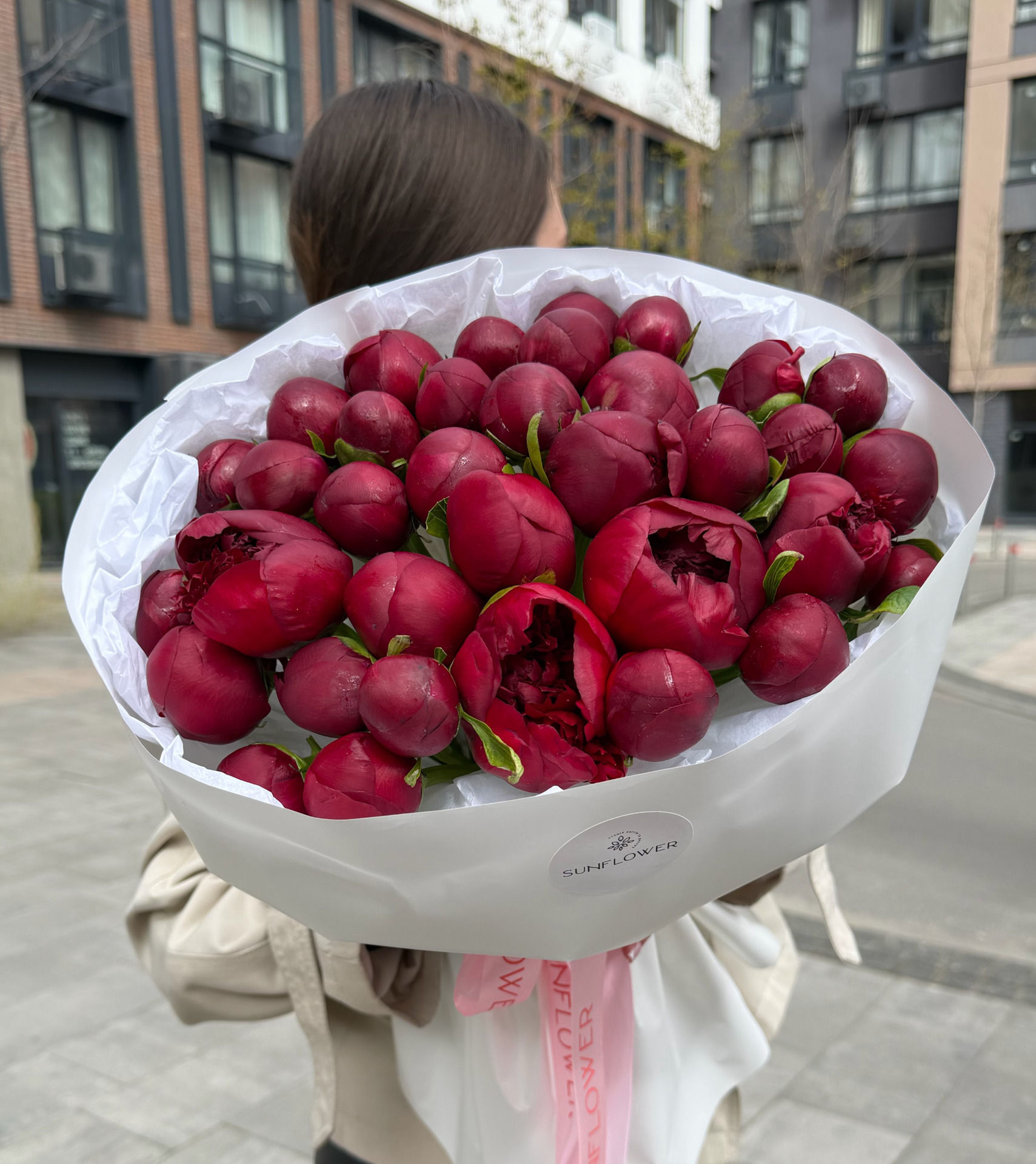 Півонія Red Charm