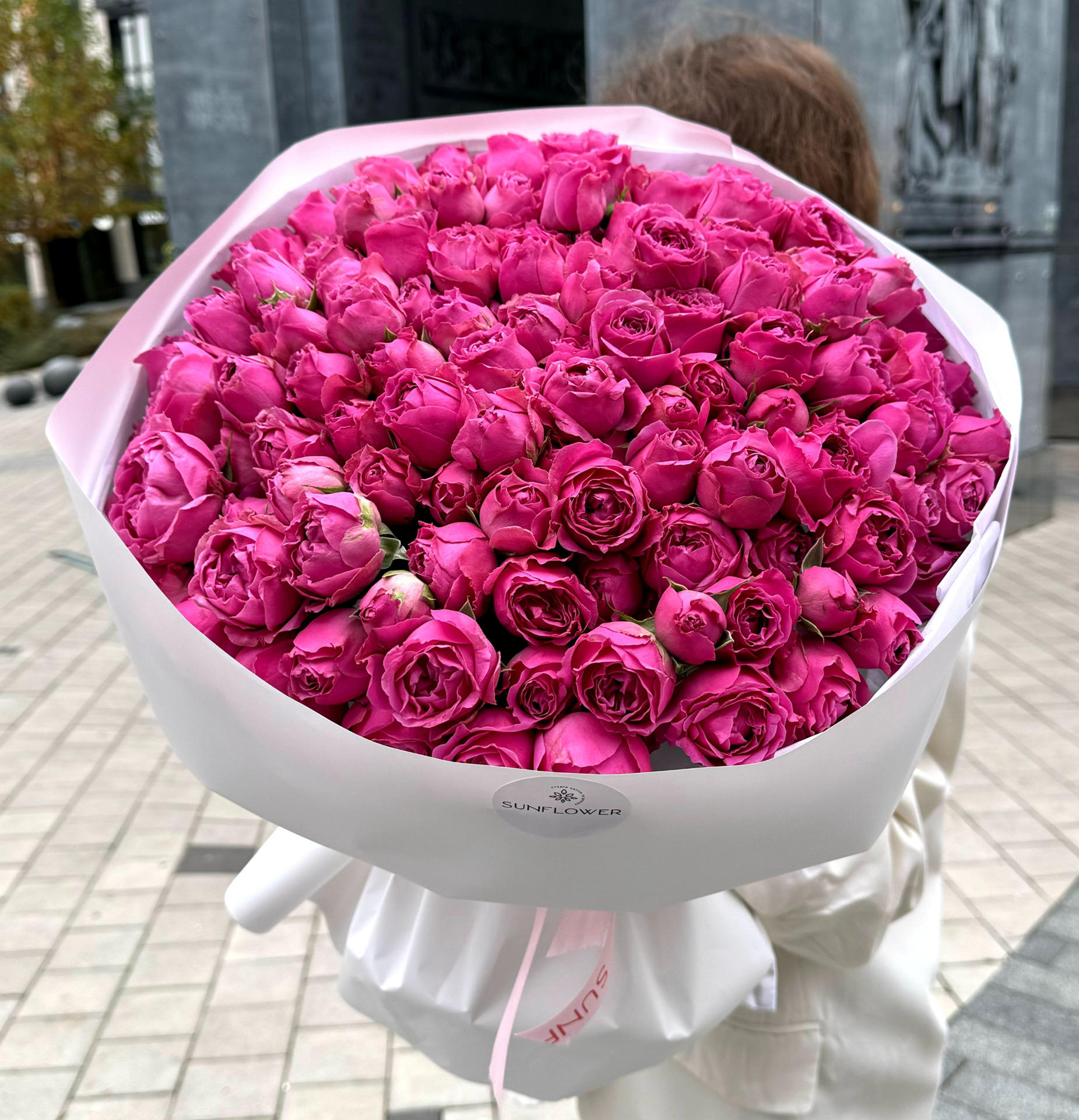 Misty Bubbles Rose