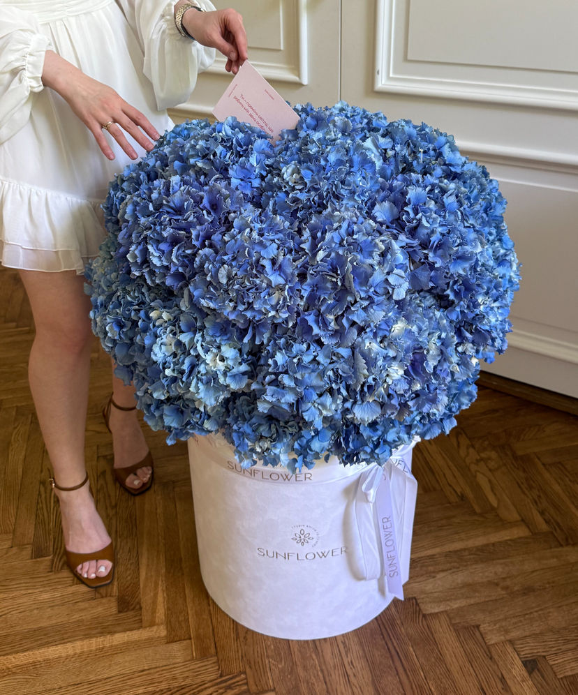 49 Blue Hydrangeas in a Box