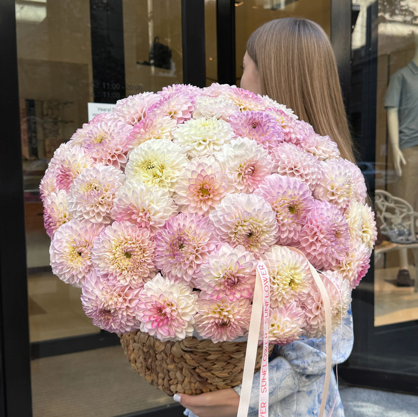 51  pale pink dahlia in a basket