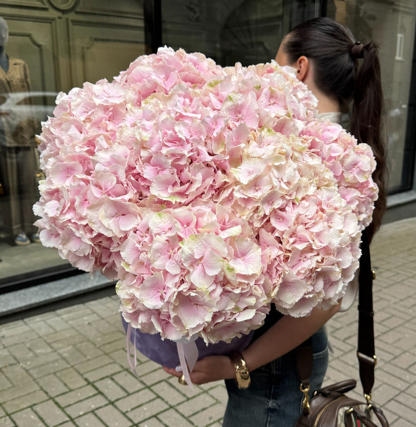 Verena Hydrangeas in a Lilac Velvet Box