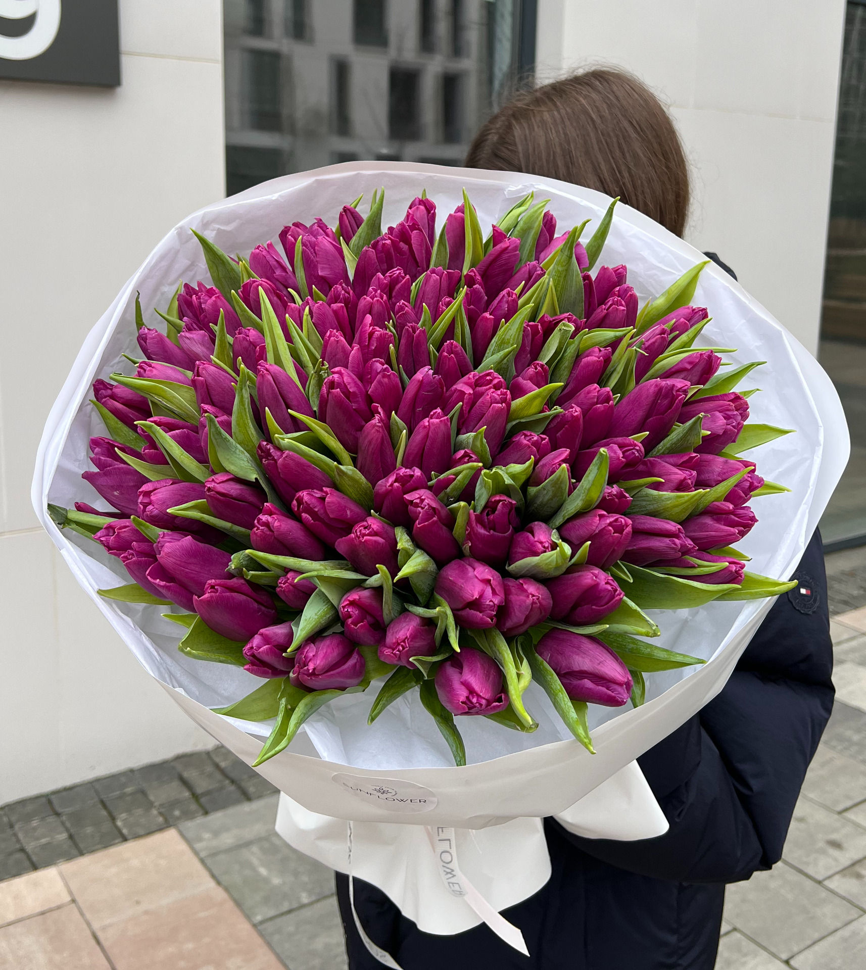 Тюльпан Purple Prince
