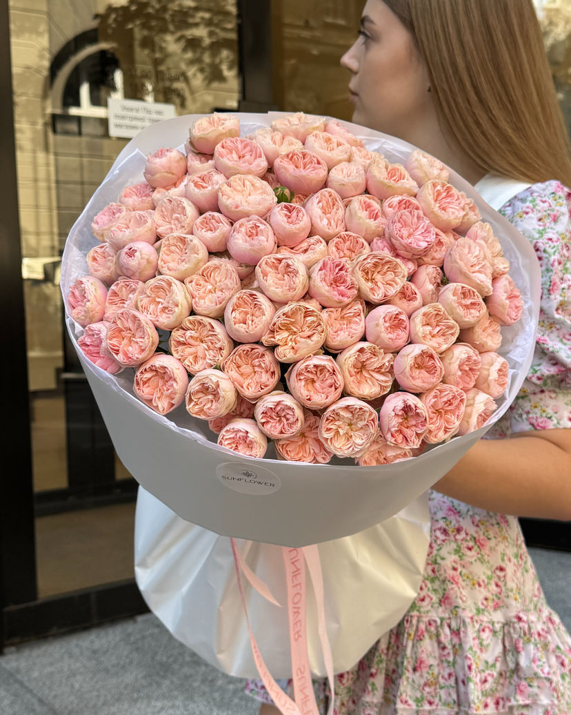 Royal Blush Joy rose