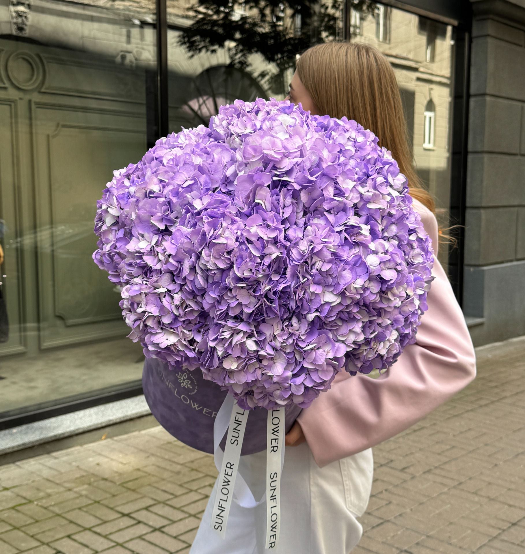 15 Lavender Hydrangeas in a Velvet Box