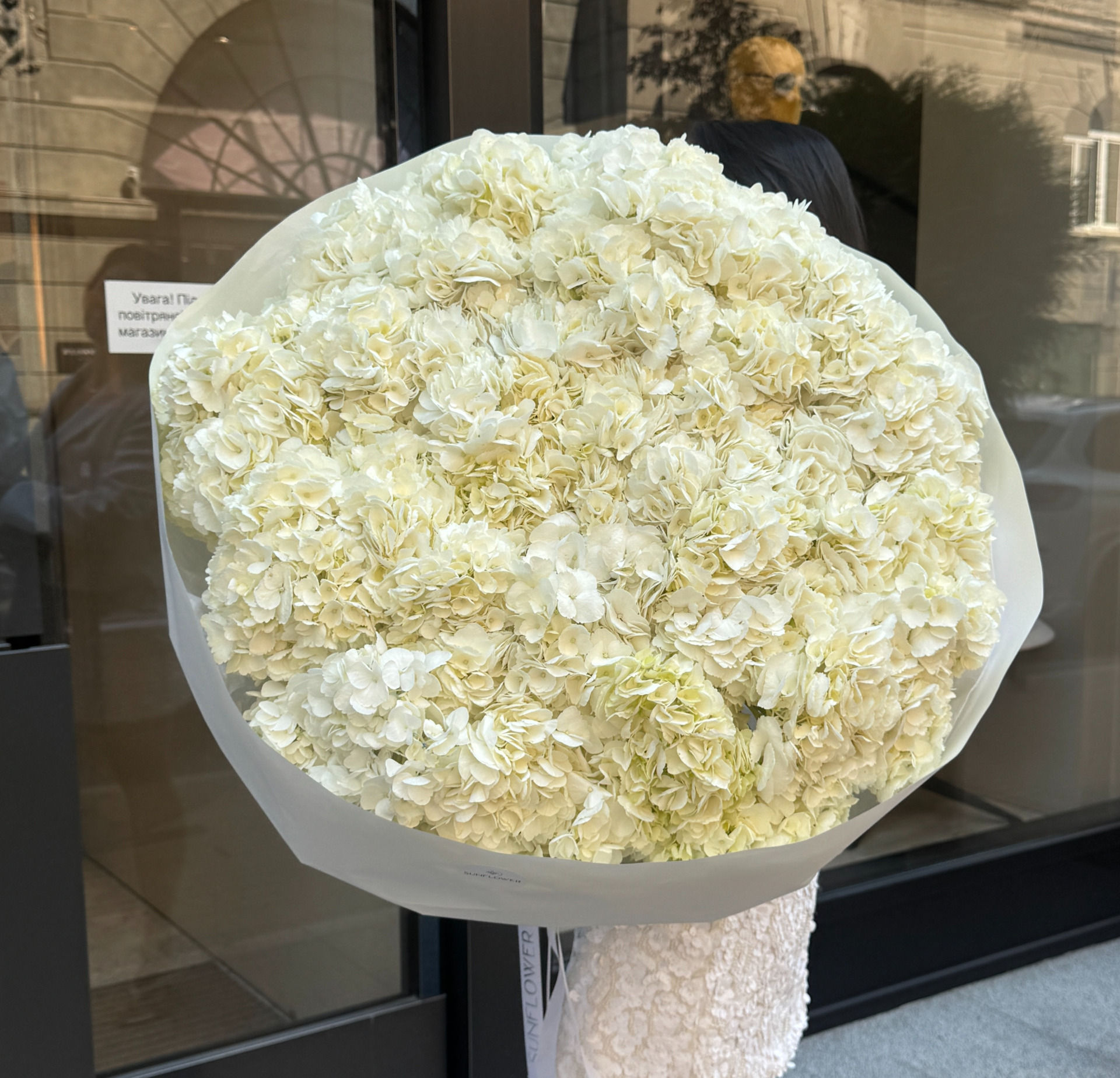 Bouquet of 35 White Hydrangeas
