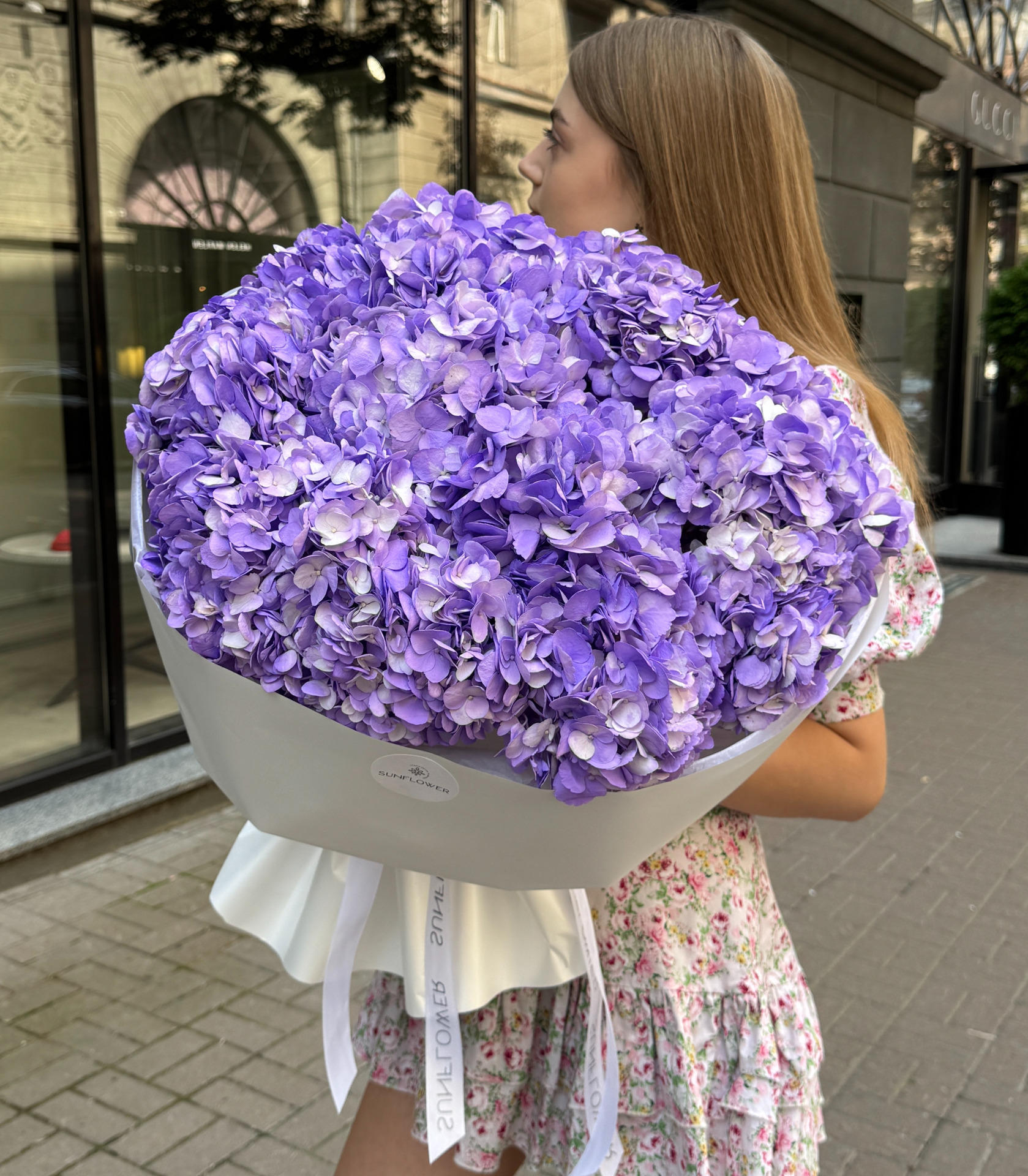 Гортензія Colombia Lavander