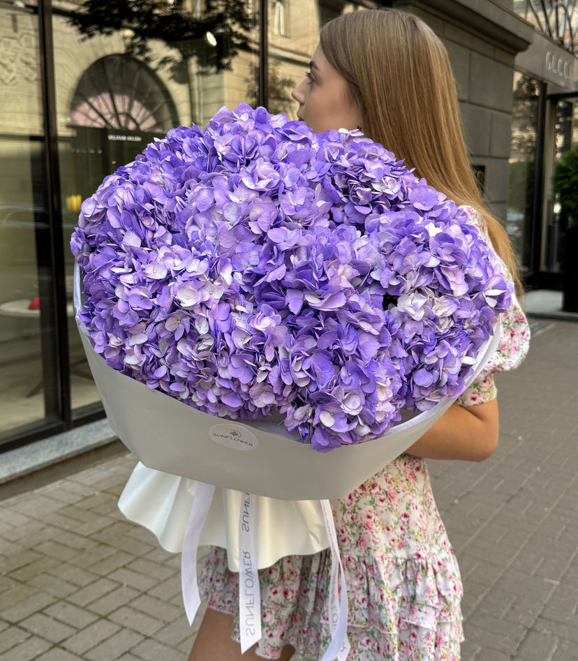 Гортензія Colombia Lavander