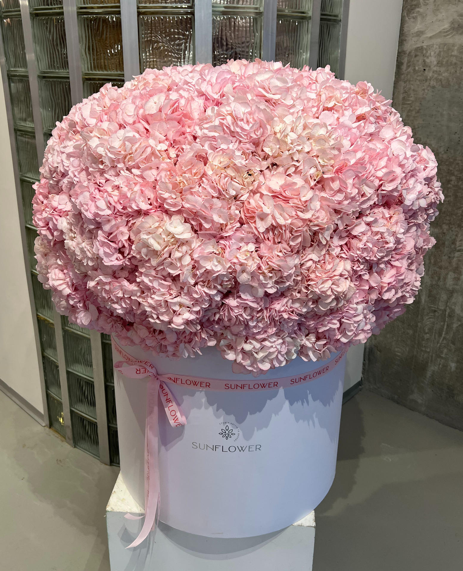 Box of pink hydrangeas 101 pieces