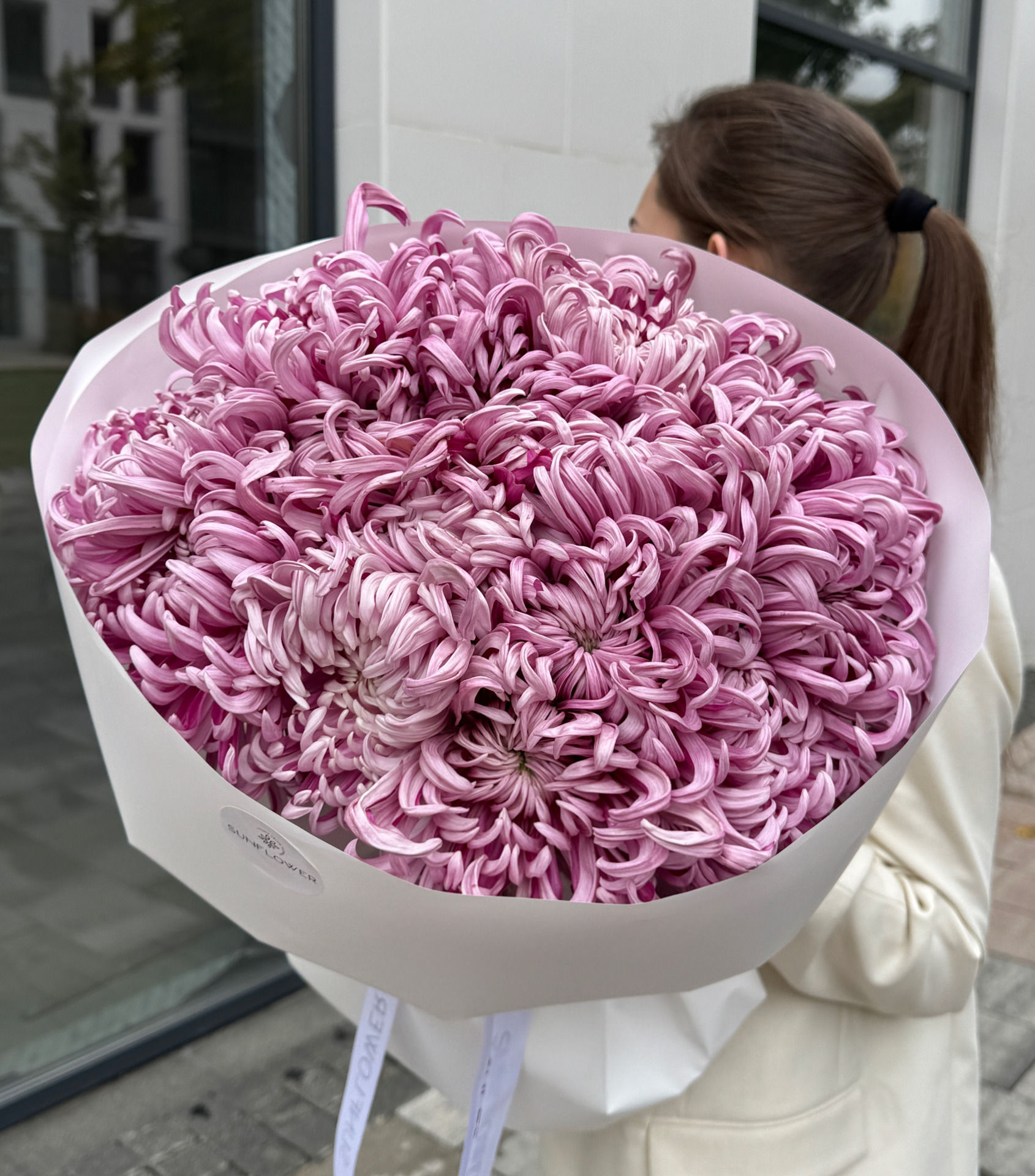 Хризантема Vienna Pink