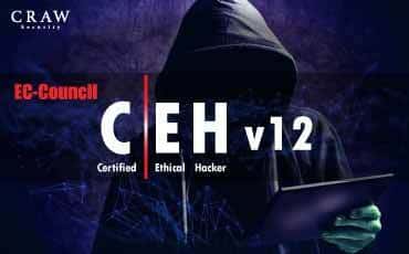 cehv12-training