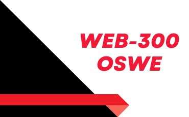 web-300