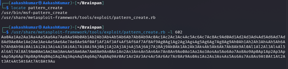  Brainpan 1 vuln hub