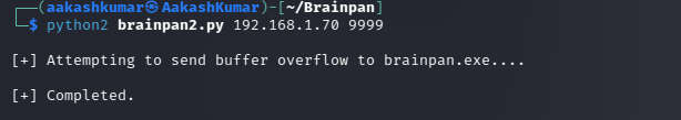 Brainpan 1 vuln hub