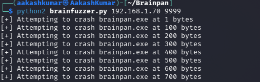 Brainpan 1 vuln hub