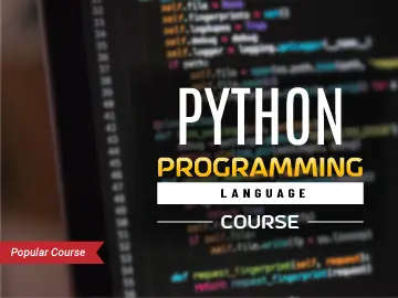 python programming course