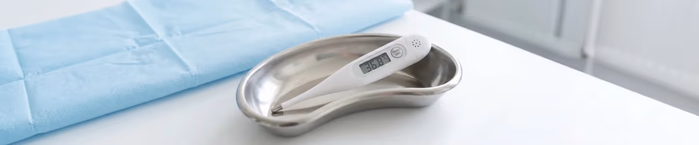 The Ultimate Guide to Digital Clinical Thermometer Purchase for Clinics & Hospitals
