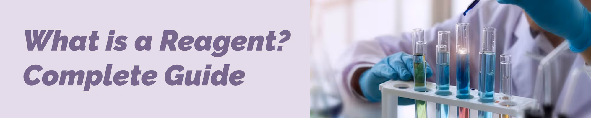 What is a Reagent: A Comprehensive Guide