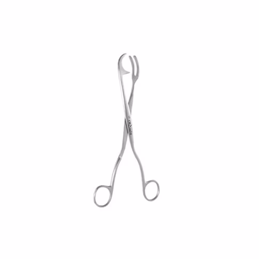 Oracraft Rogge Sterilising 20cm Dental Forceps - RF20