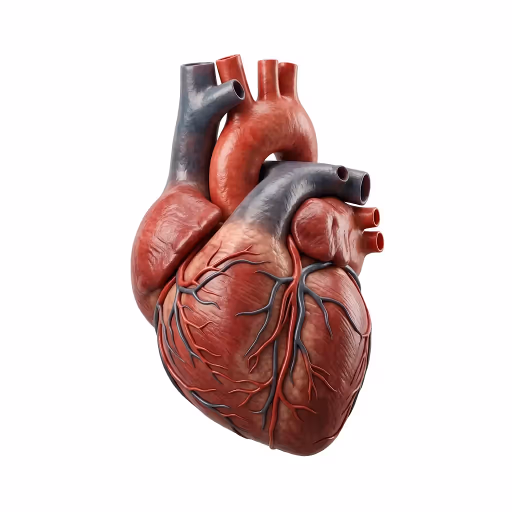Cardiac