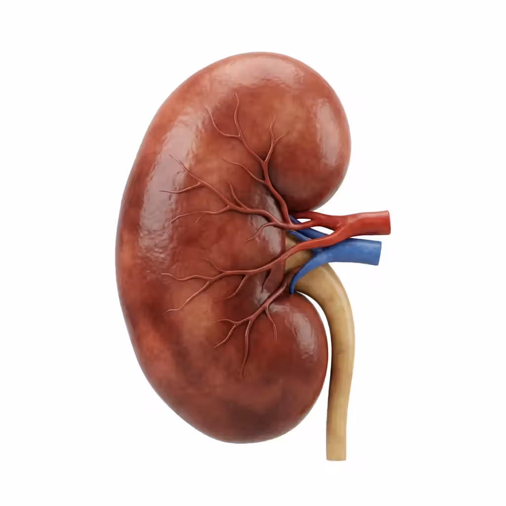 Nephro