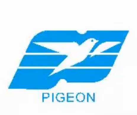 Buy Pigeon Products at Best Prices Online in India | Medikabazaar