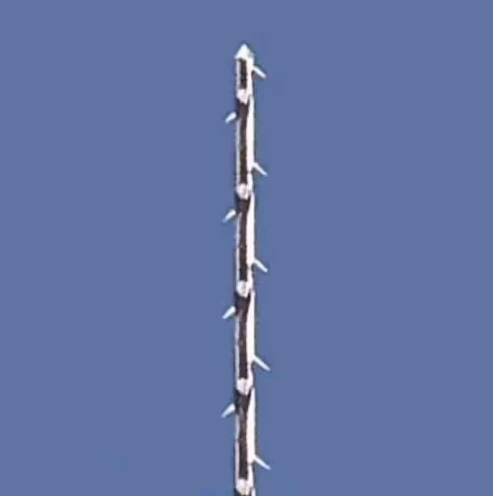 Mani Stainless Steel Barbed Broaches - 21mm Assorted