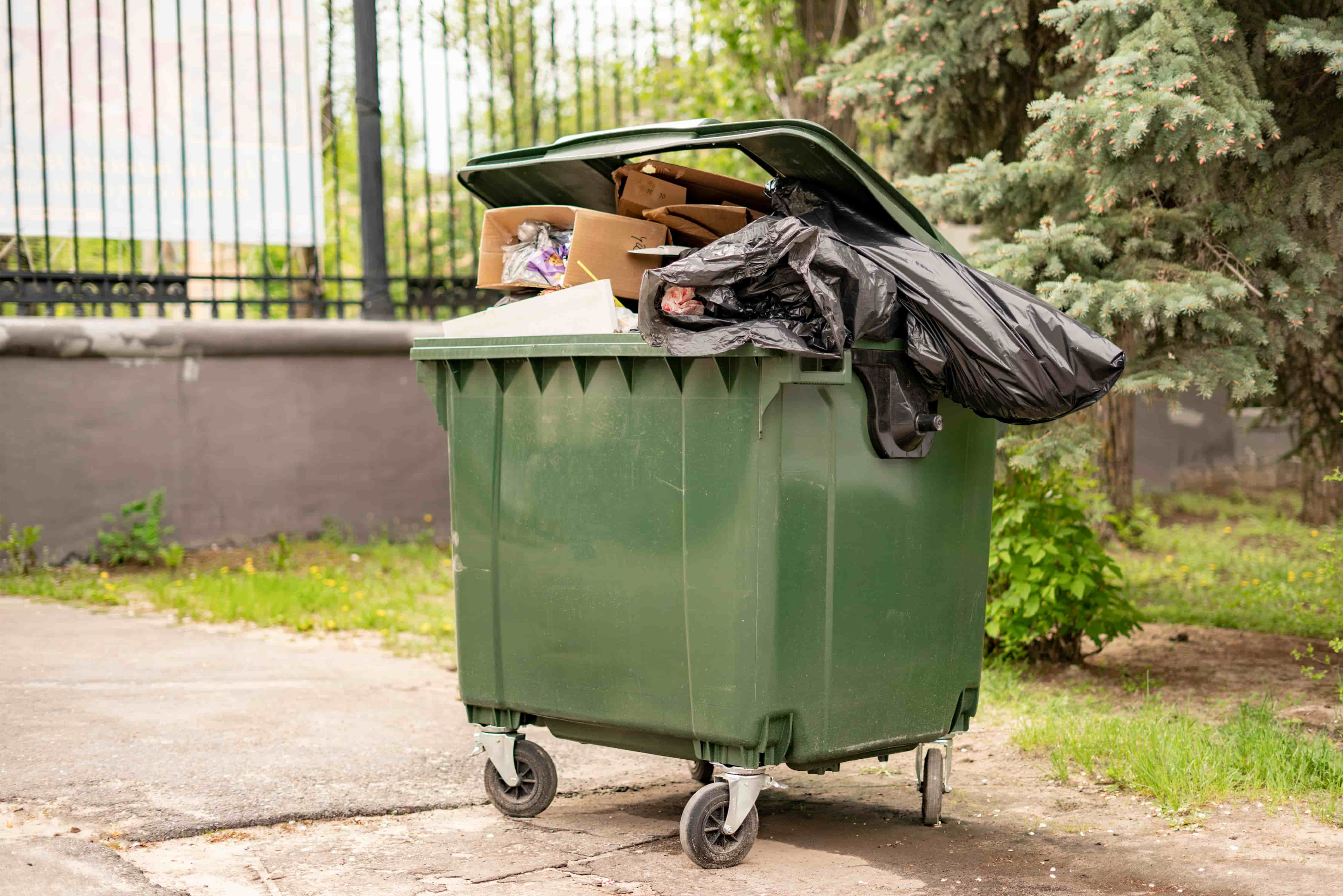 1746527289409-metal-green-old-fulled-with-trash-garbage-container_kM0yJQbJE