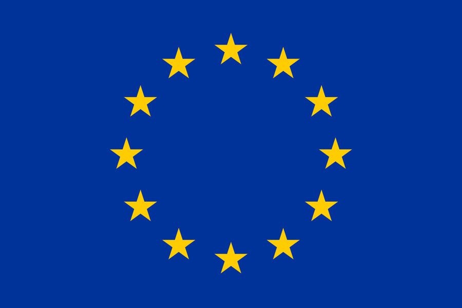 EU Flag 900