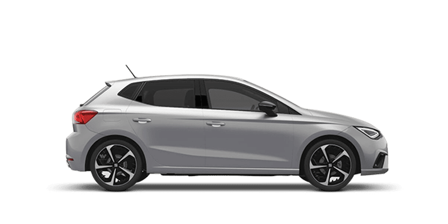 Noleggio Seat Ibiza automatica in Tunisia