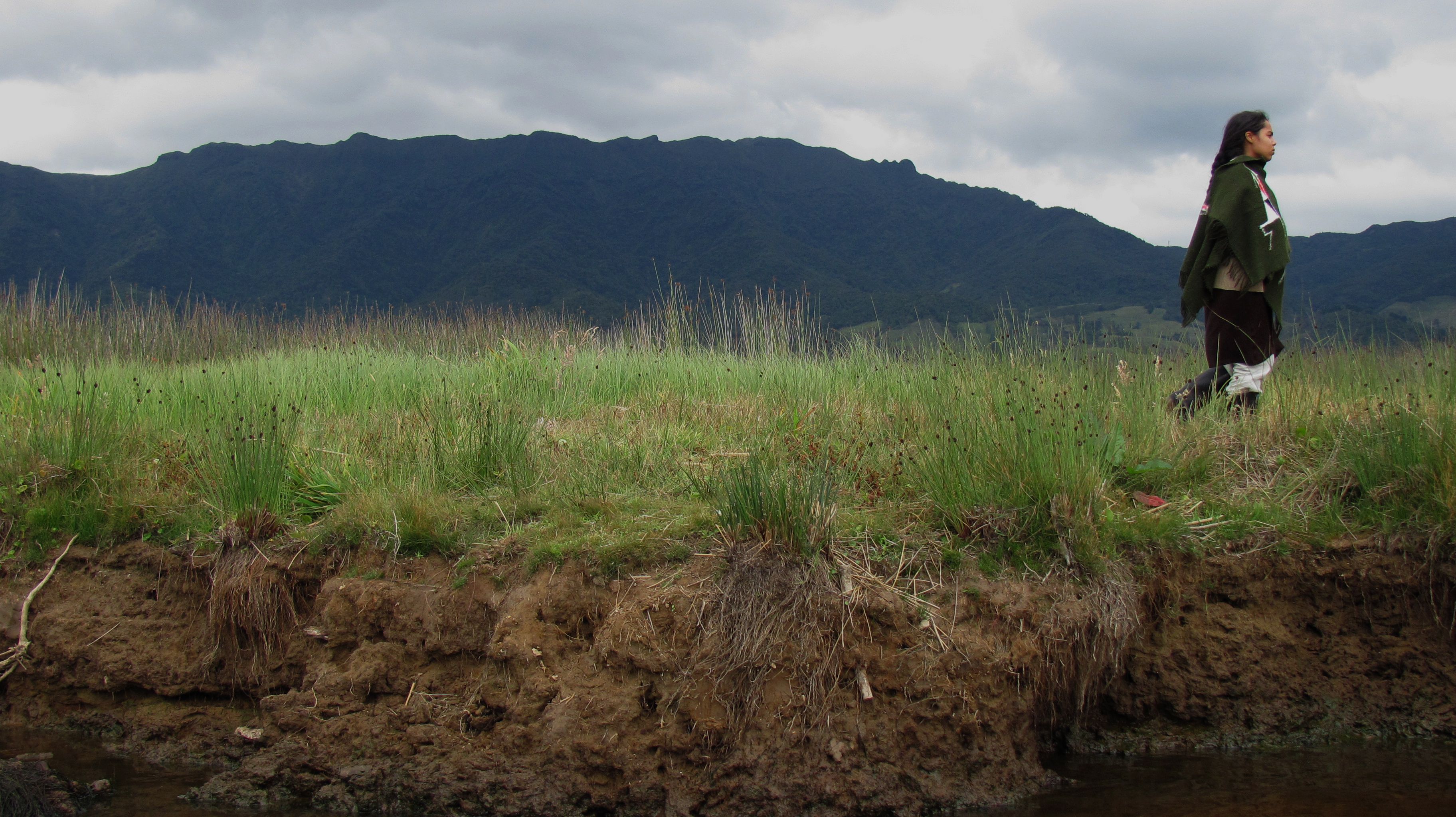 Imagen 2 de [object Object]