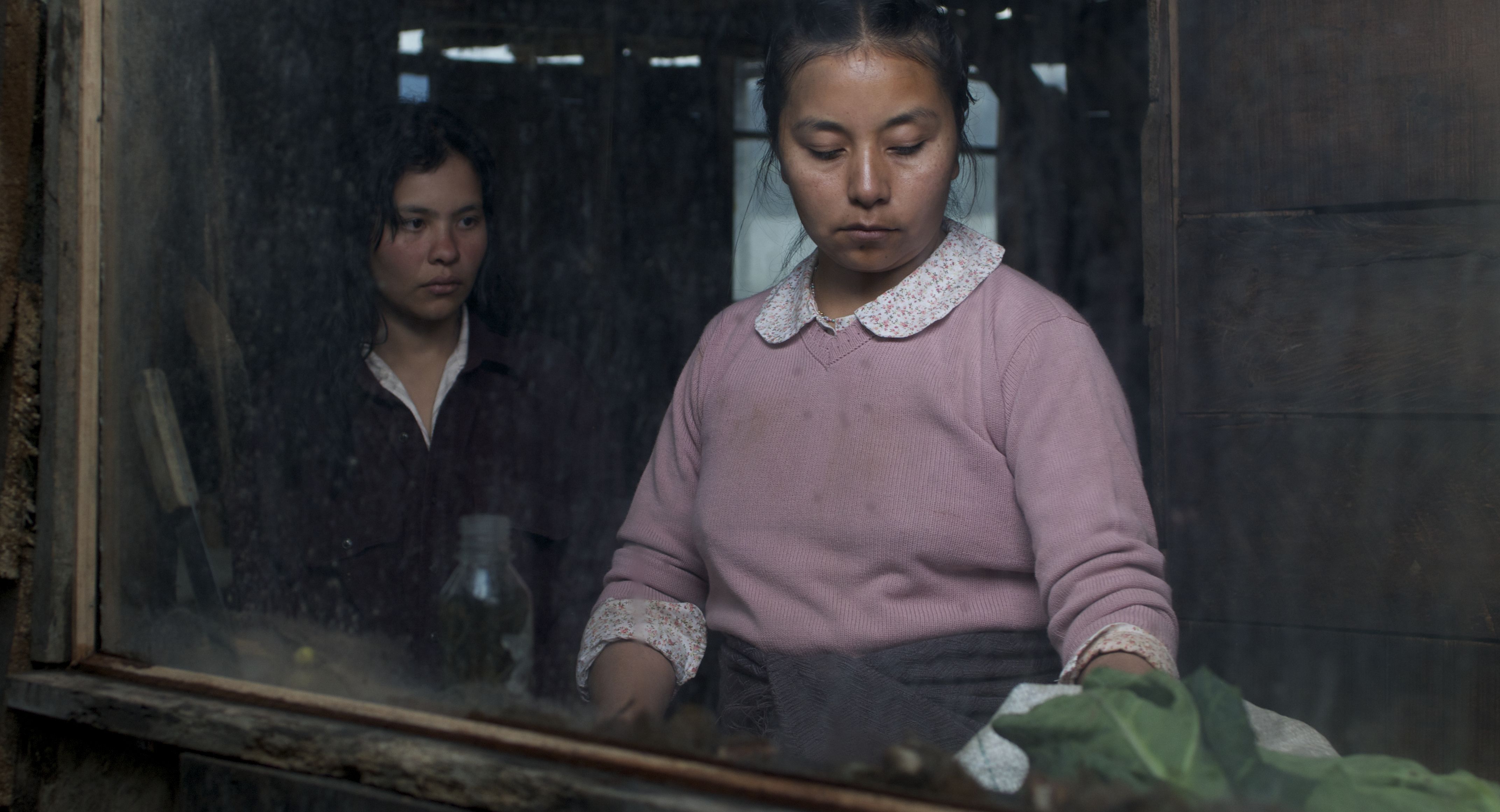 Imagen 4 de [object Object]