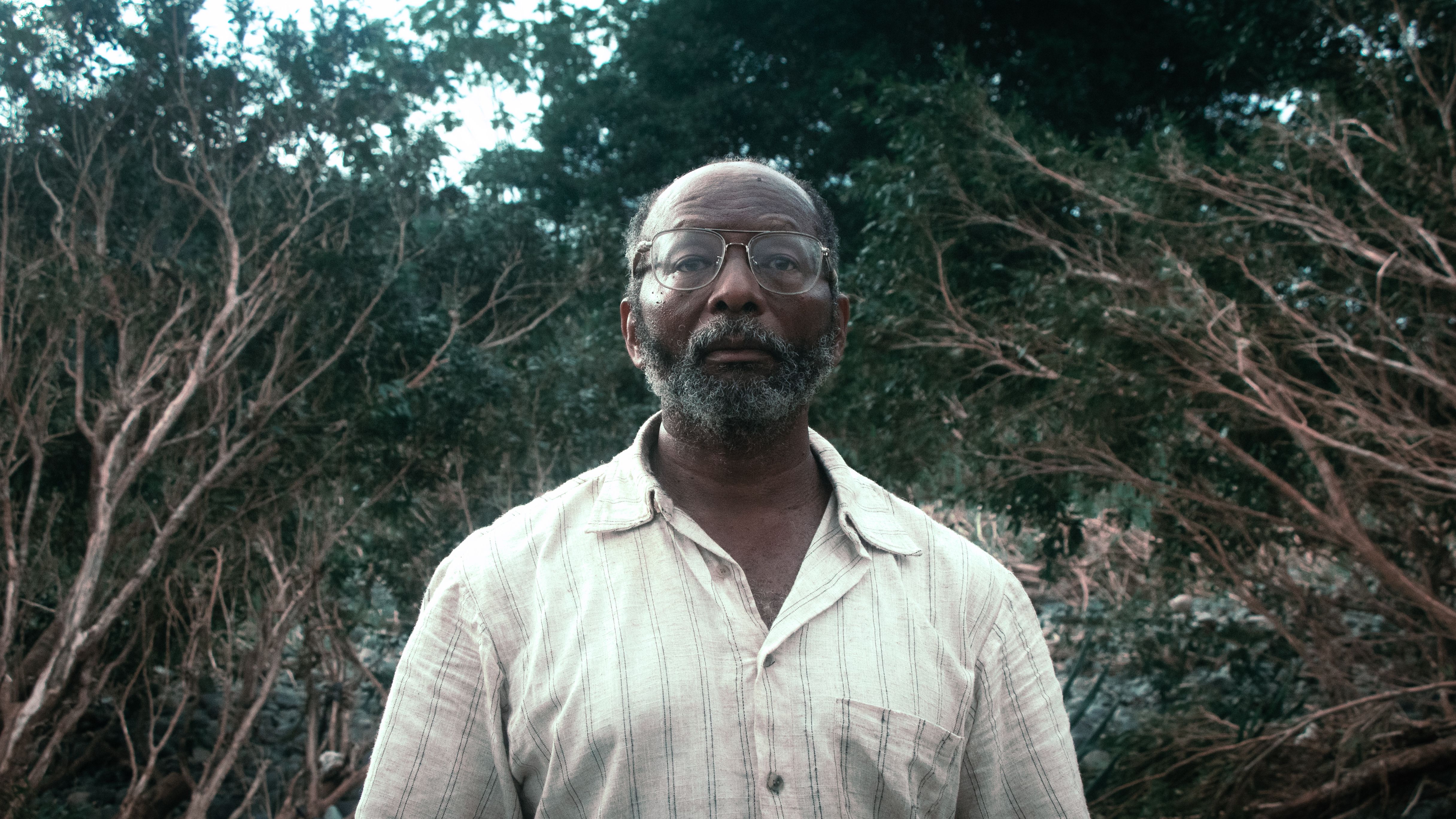 Imagen 3 de [object Object]