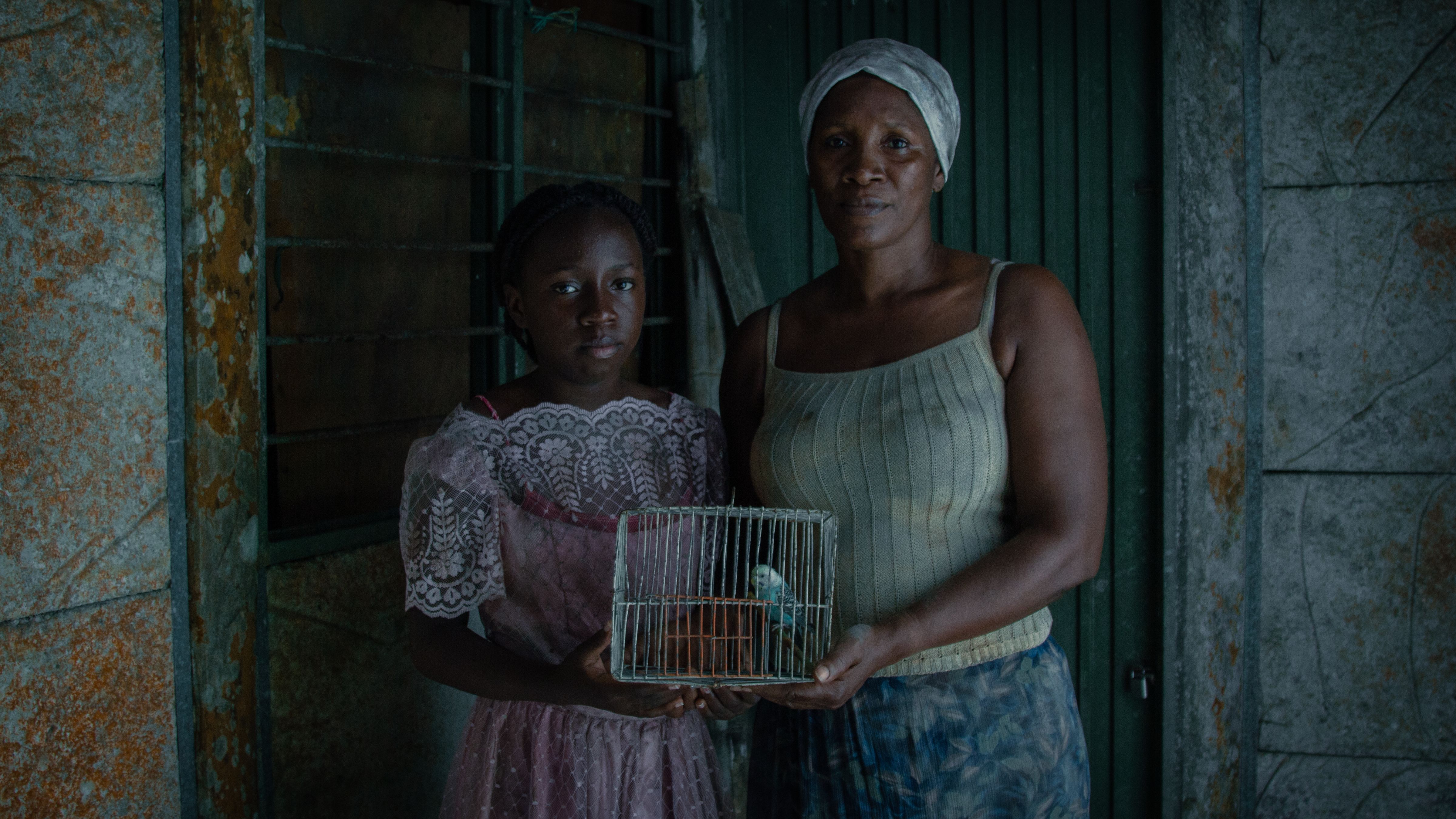 Imagen 1 de [object Object]