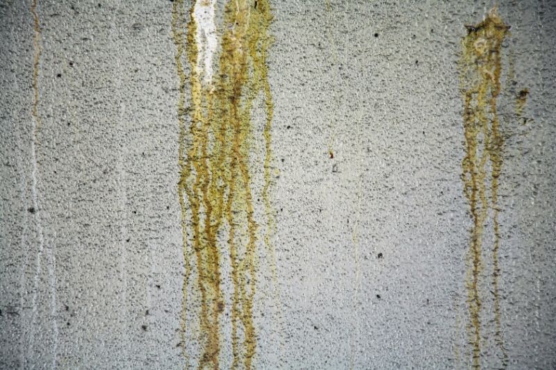Concrete Polishing & Staining in Alpine, AL