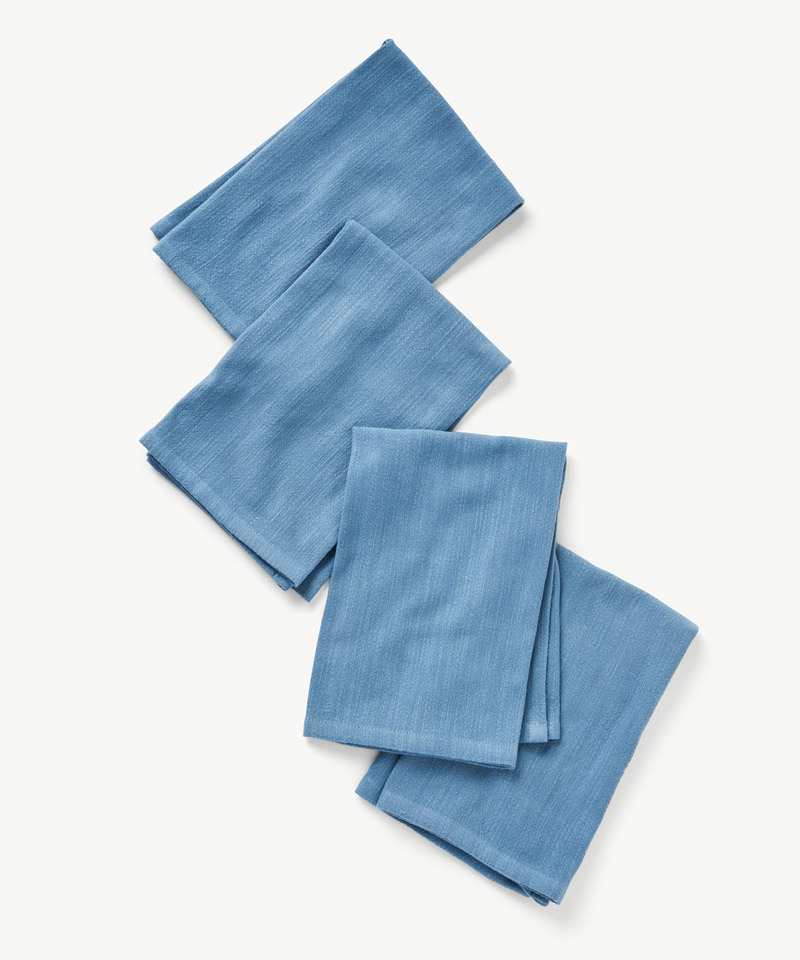 Dylan Solid Woven Napkin Set of 4 in Denim