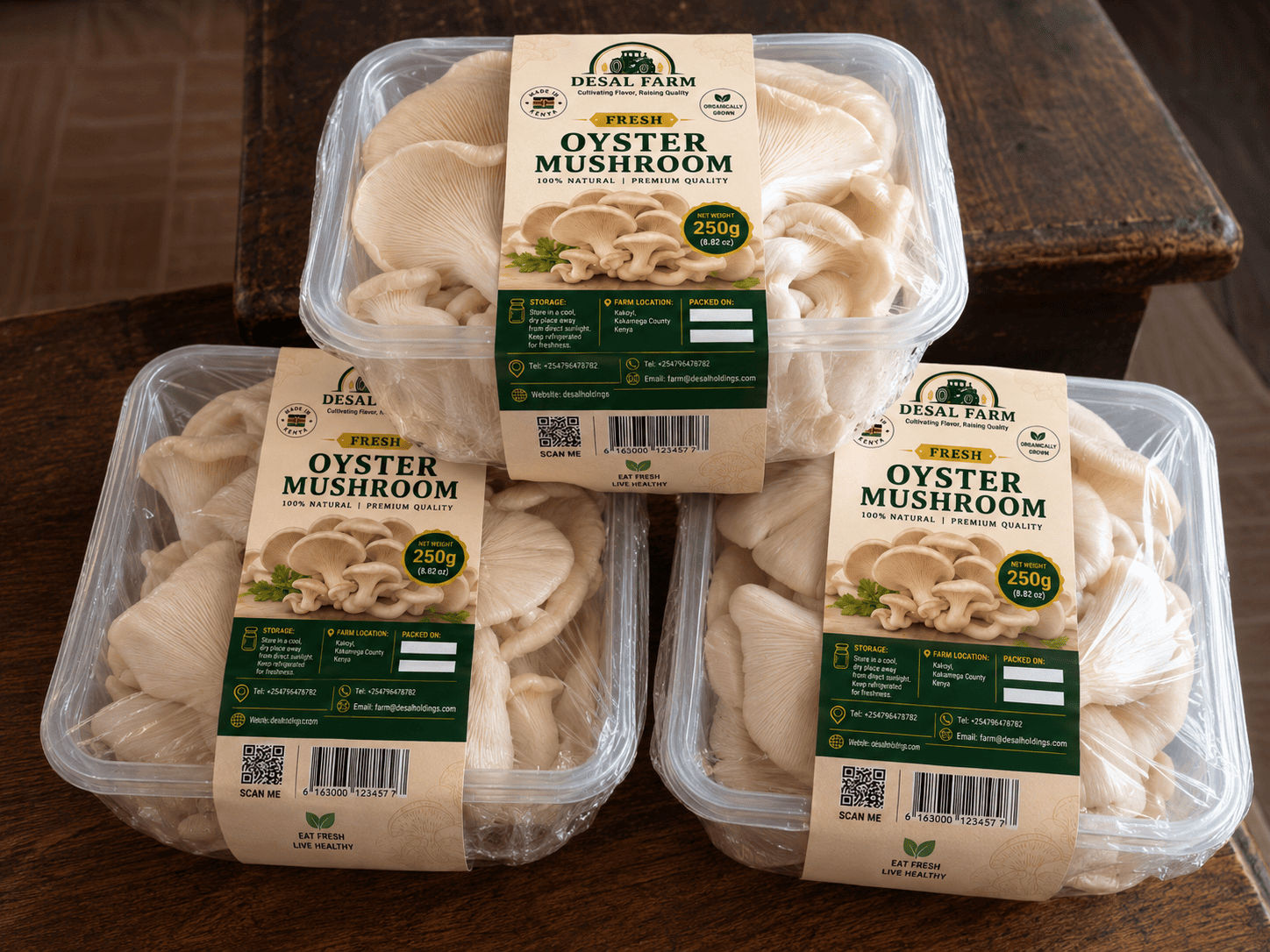 Oyster mushroom