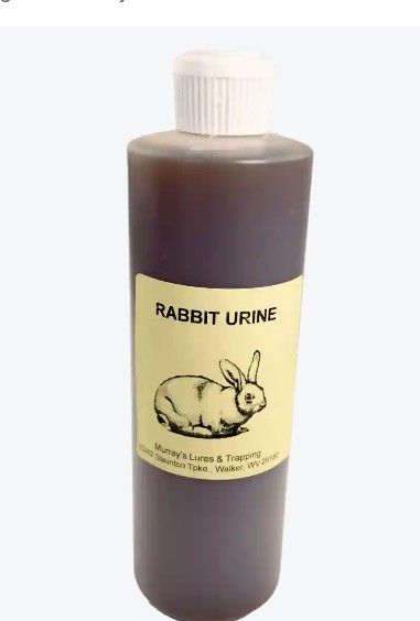 RABBITS URINE – 50.00 KSh