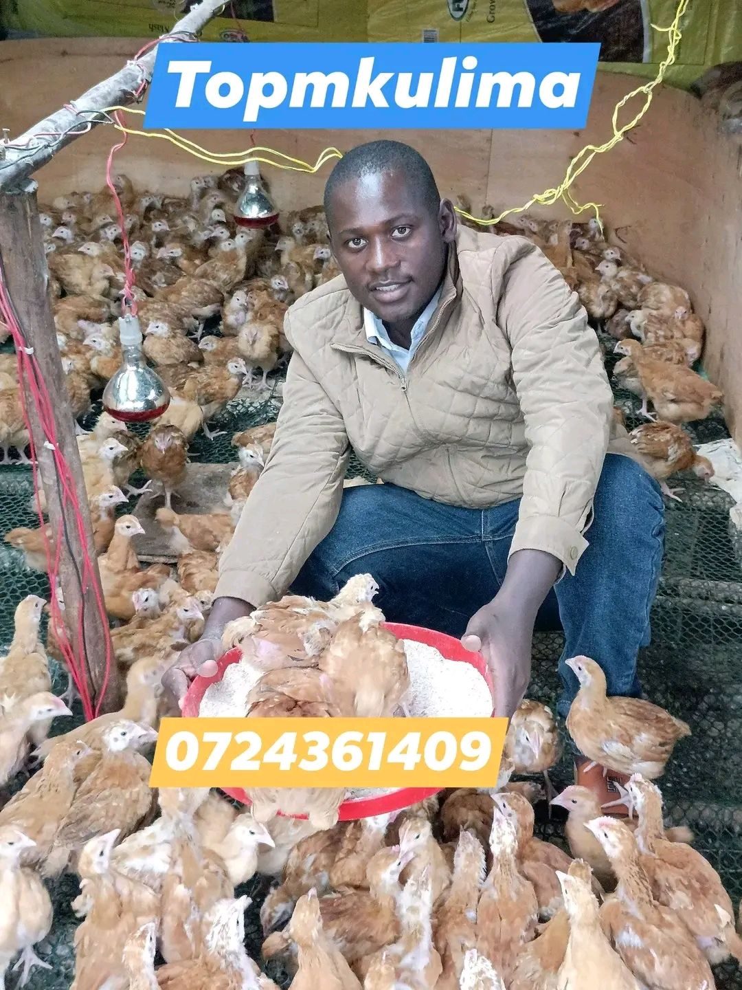 CHICKS - 100.00 KSh