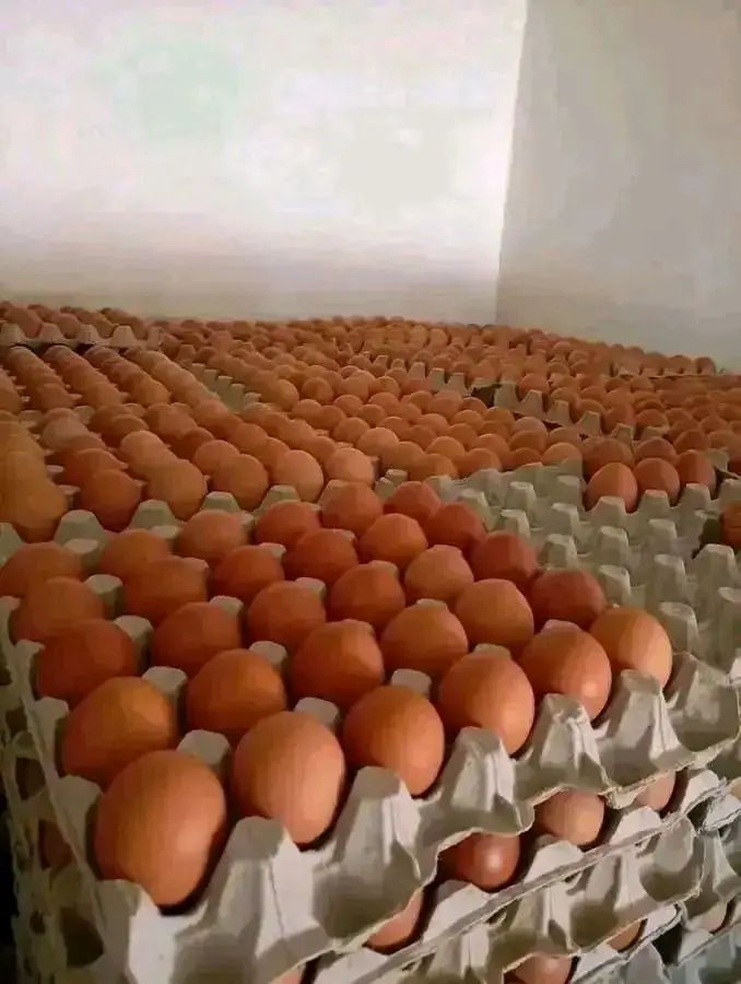 TABLE EGGS - 400.00 KSh